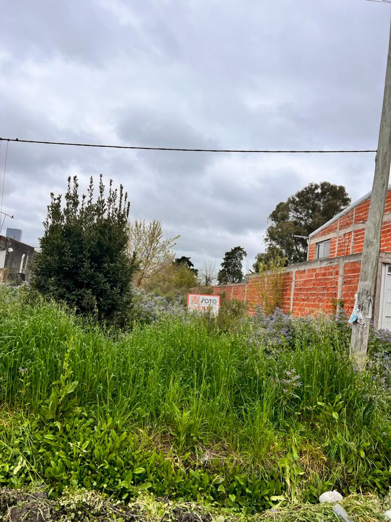 LOTE ubicado en 14 e/ 85 y 86